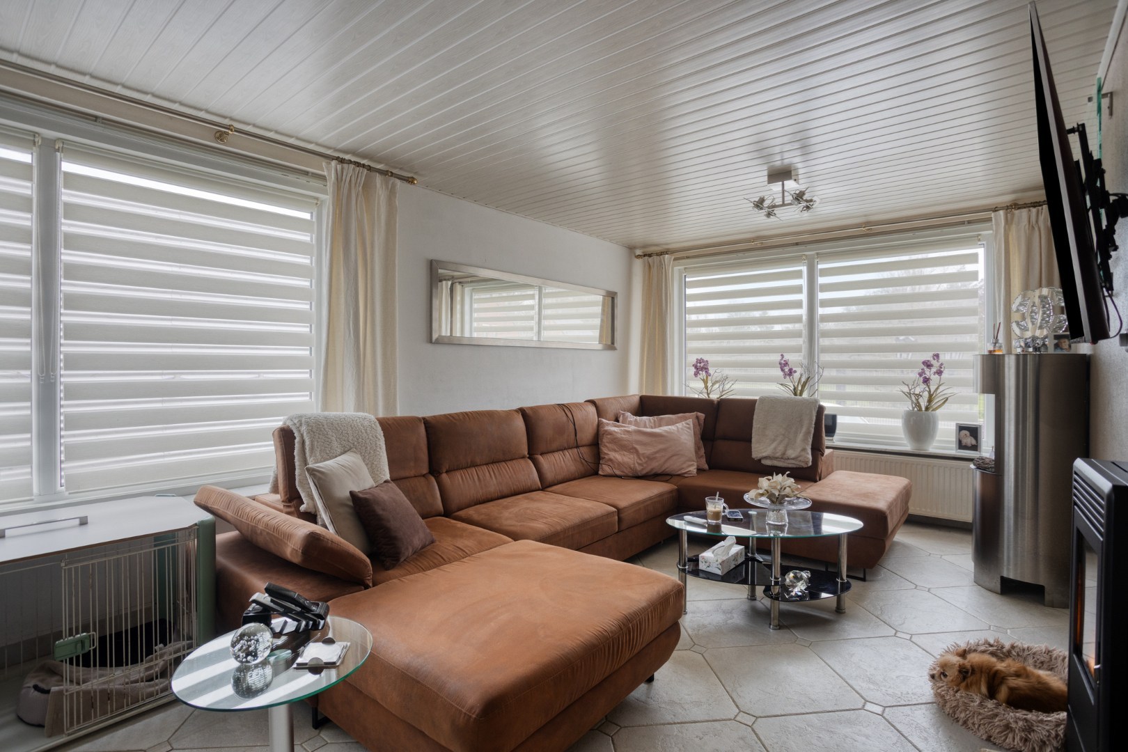 Te renoveren woning met 5 slpk. op ruim perceel van 18a 95ca in Mol 