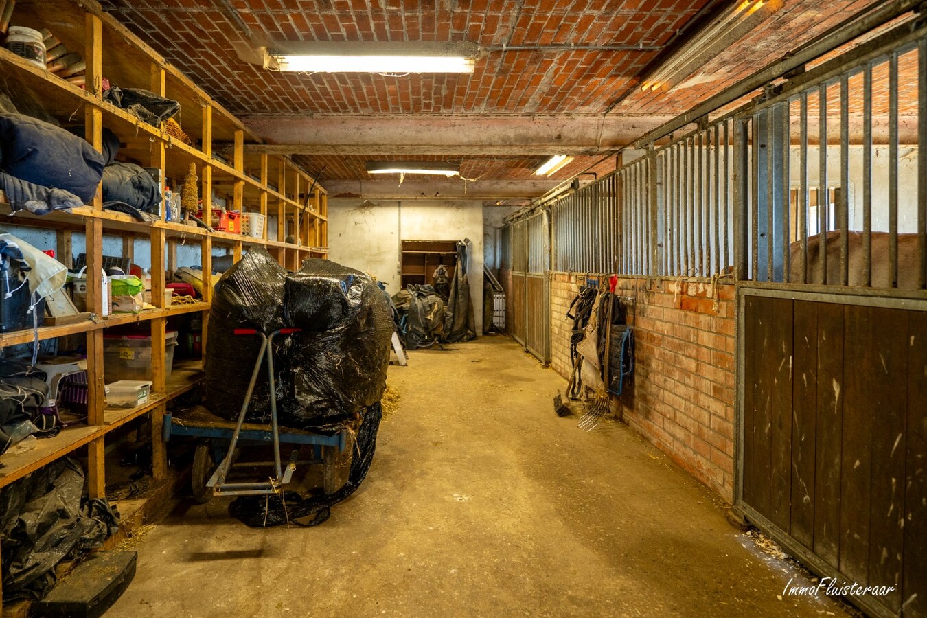 Goed gelegen langgevelhoeve met paardenstallen op ca. 3,5 ha. 