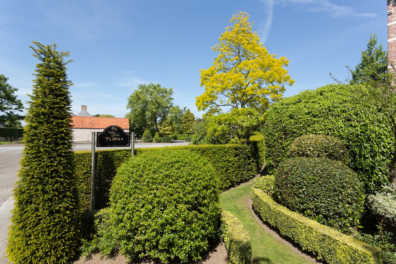 Multifunctioneel en prestigieus kasteeldomein "Kasteel van Saffelaere" 