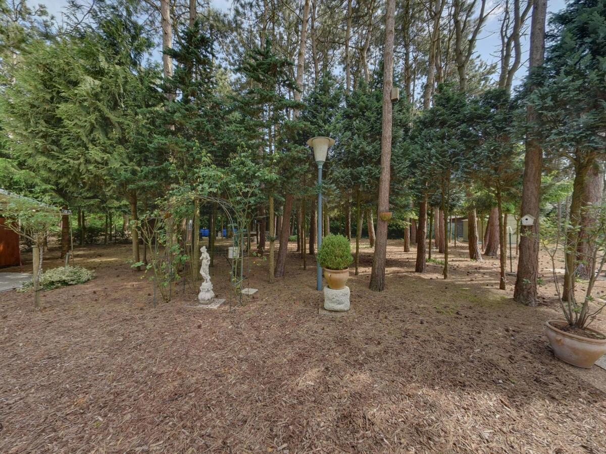 Prachtig stuk bosgrond 