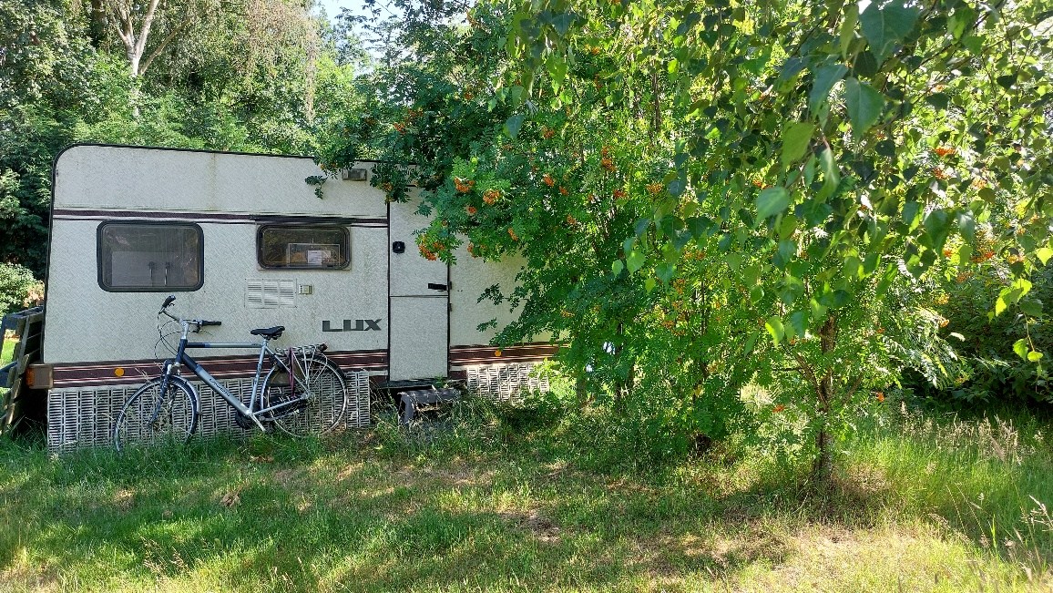 Bos te koop in Weert