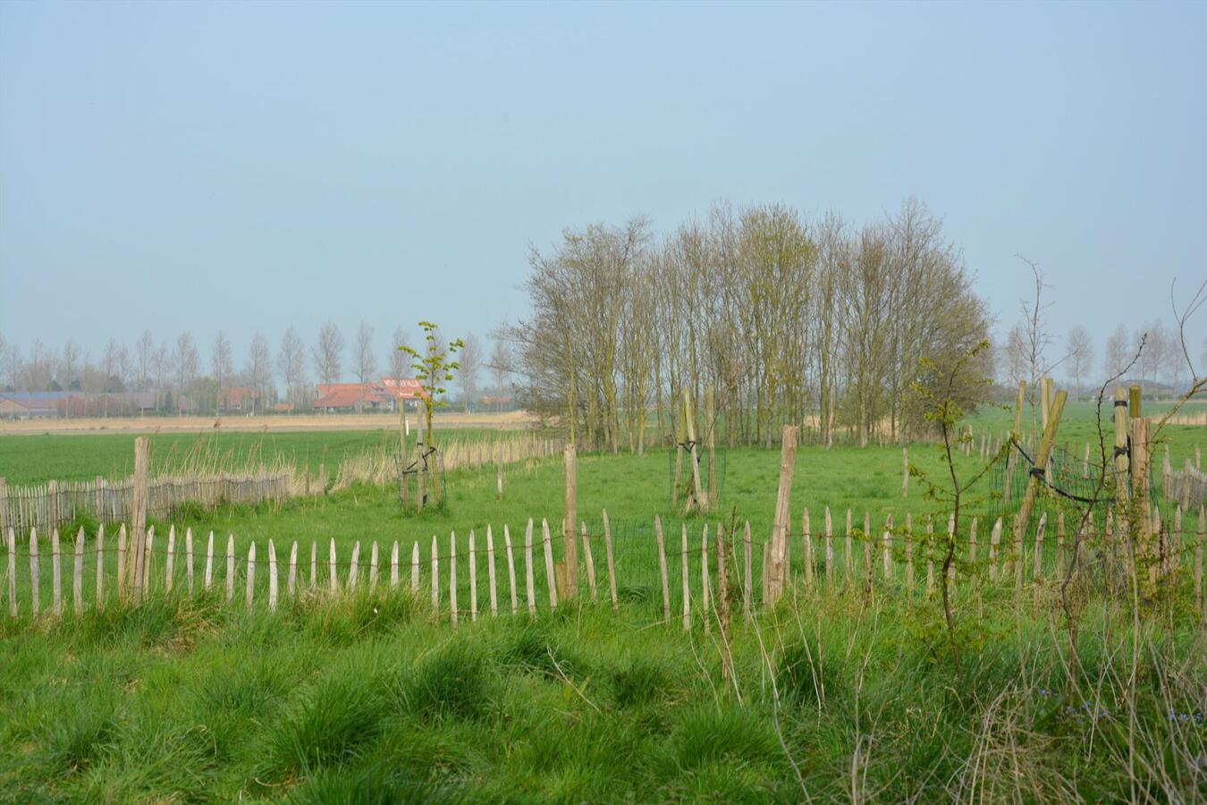 Instapklare woning met 5 slaapkamers op een grondopp. 3.349m² 