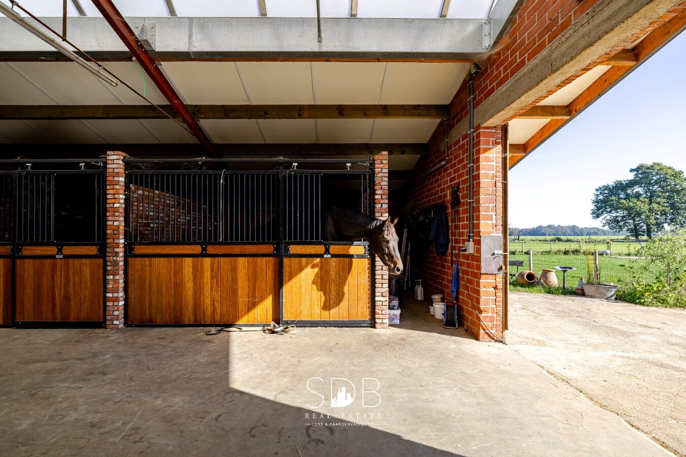 Hedendaagse woning met hippische accommodatie op 17.782m² 