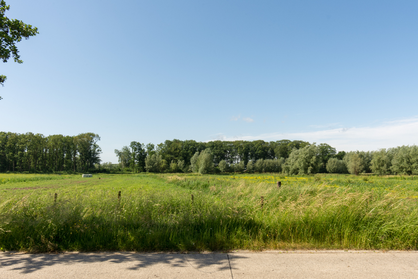 Vrijstaande woning op absolute topligging te Laarne nabij Prullenbos 