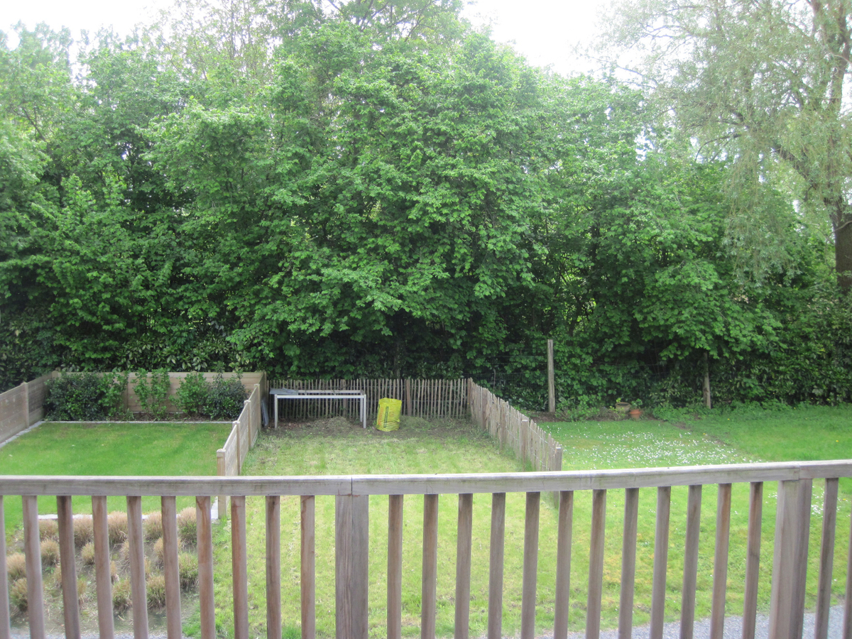 Recent vernieuwde rijwoning nabij de Schelde. 