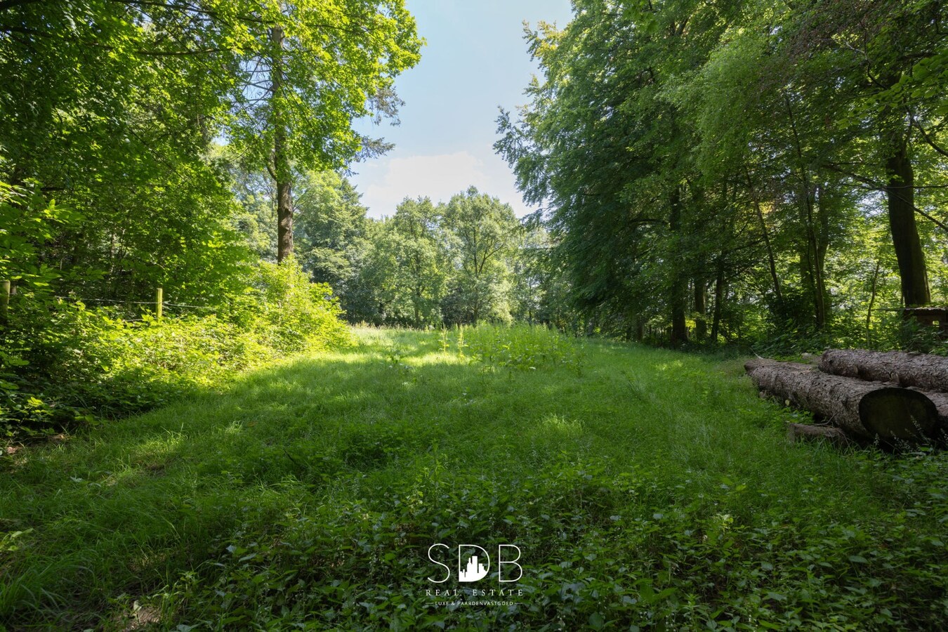 Prachtig kasteel met omringend park, weilanden en stalgebouw op circa 5hectare 