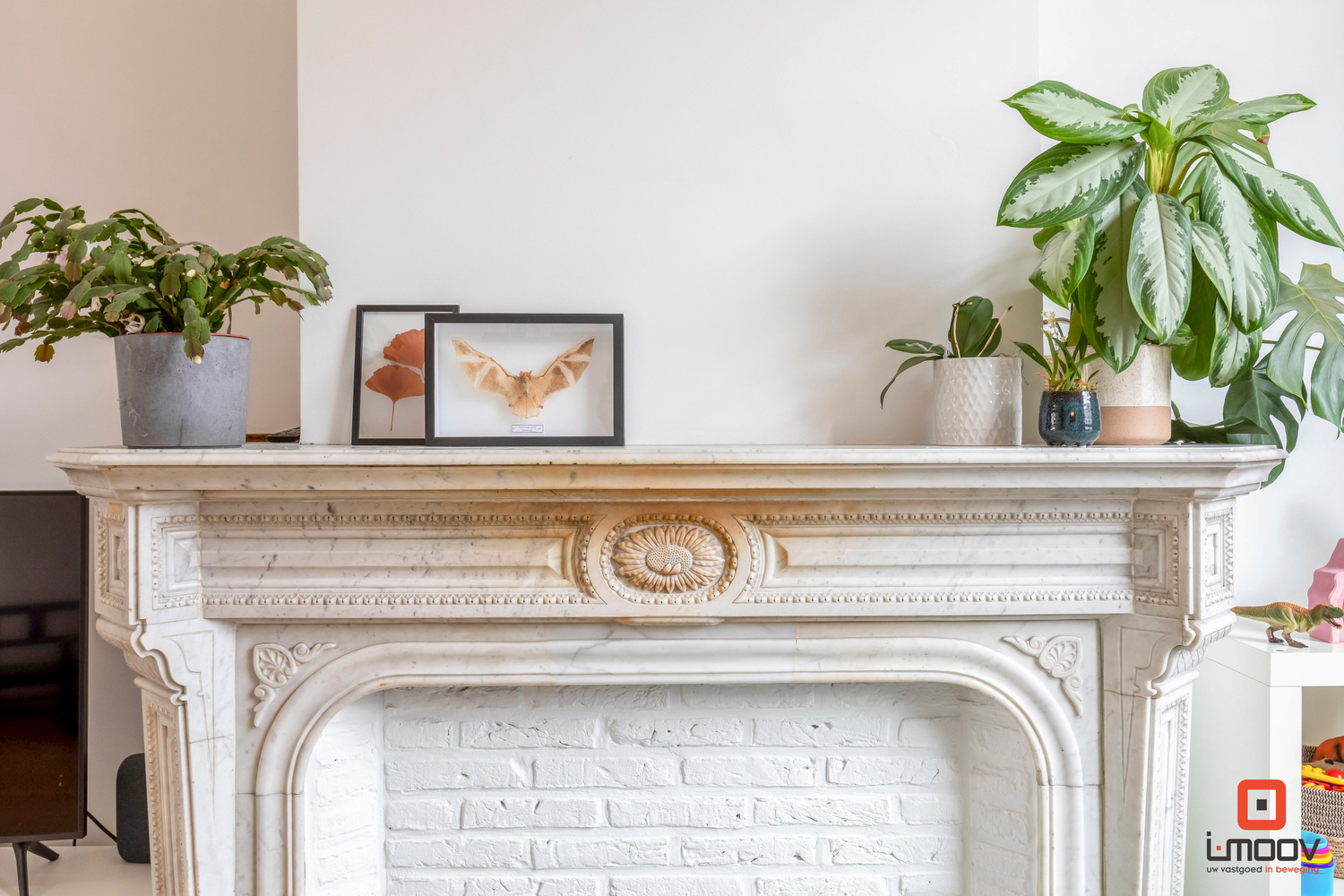 Charmante rijwoning met tuin 