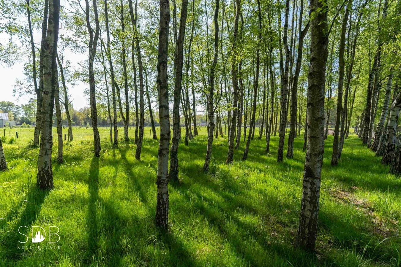 Vrijstaande gezinswoning in bungalowstijl met grasland op circa 1ha. 