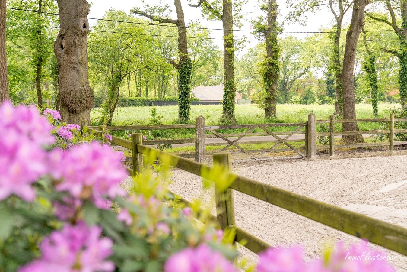 Prachtige villa met hippische accommodatie en binnenpiste op ca. 2ha te Paal 