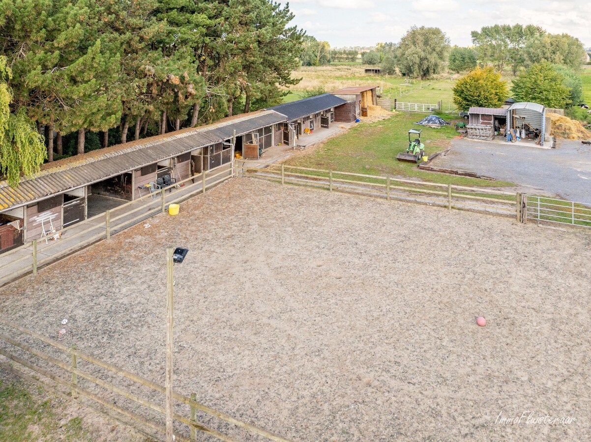 Charmante woning met stallen, buitenpiste en weide  op ca. 2 ha te OUDENBURG 