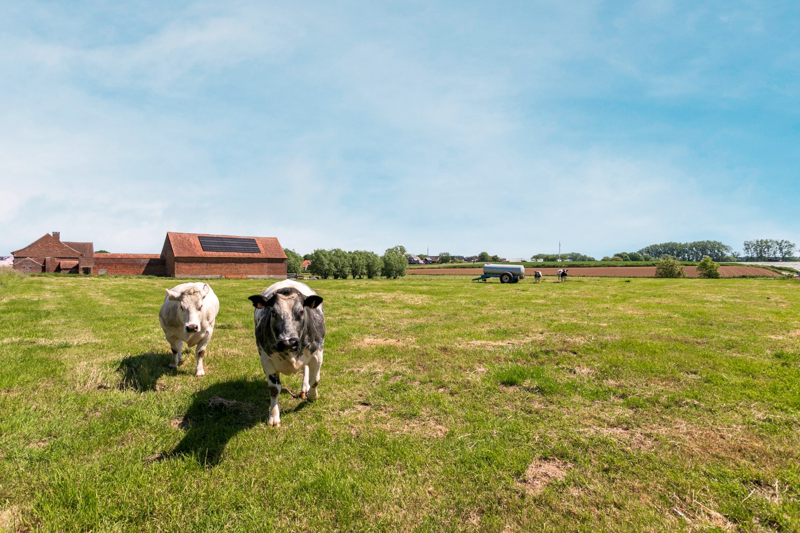 Charmante hoeve op een landelijke ligging te Pepingen 