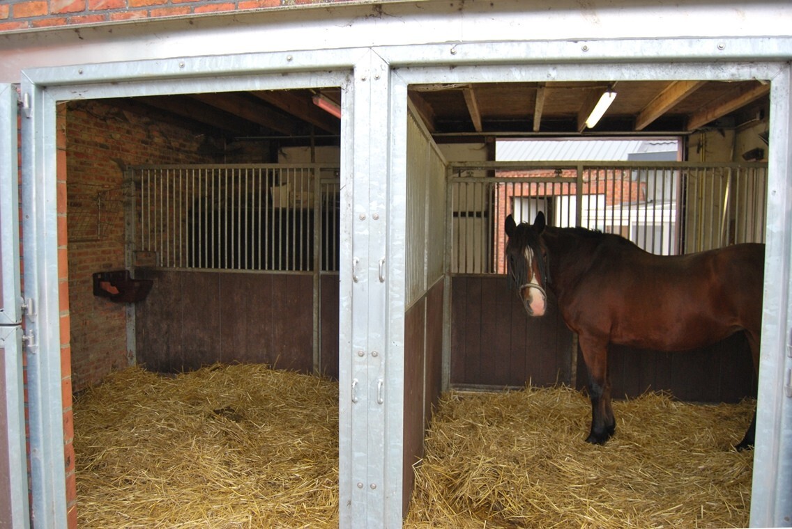 Instapklare woning met 2 stallen op ca.4000m² te Lebbeke 