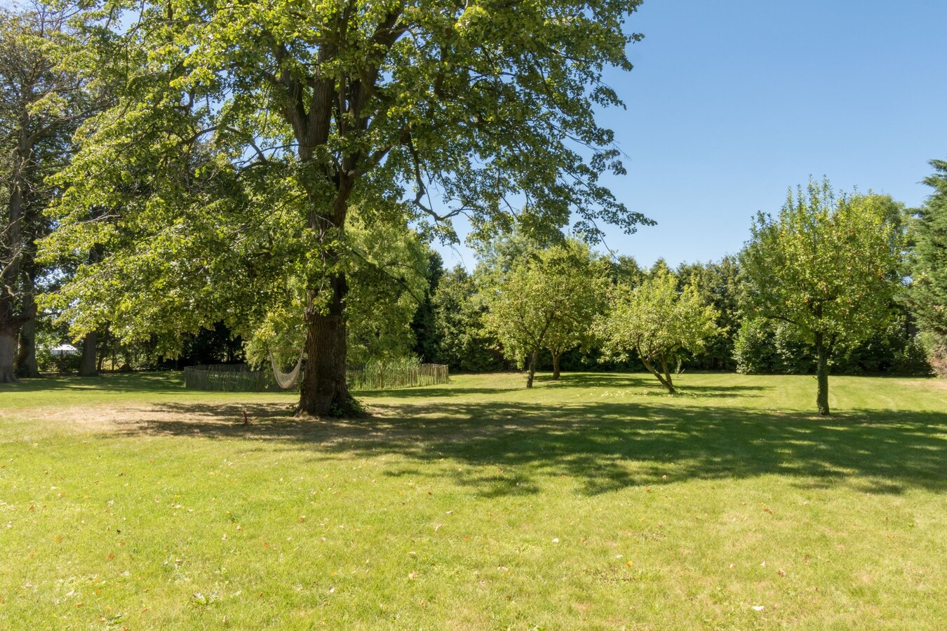 Ruim &amp; luxueus appartement met uniek parkzicht! 