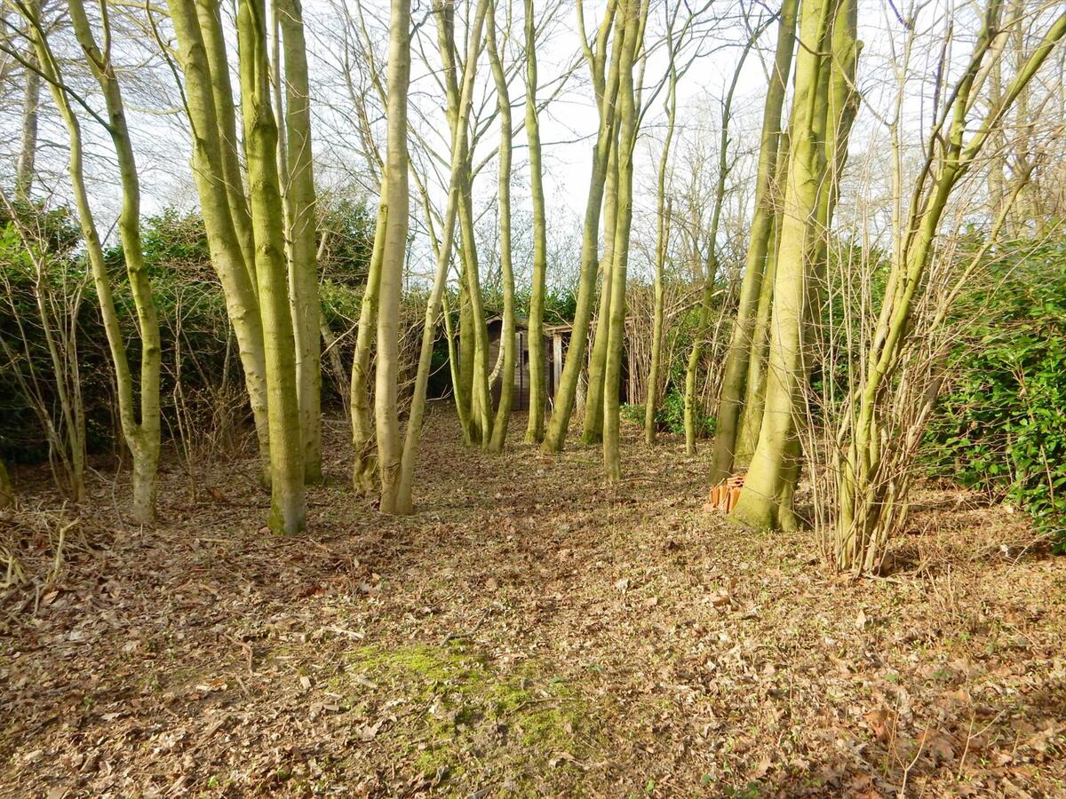 Rustig gelegen woning op 1.395m² 