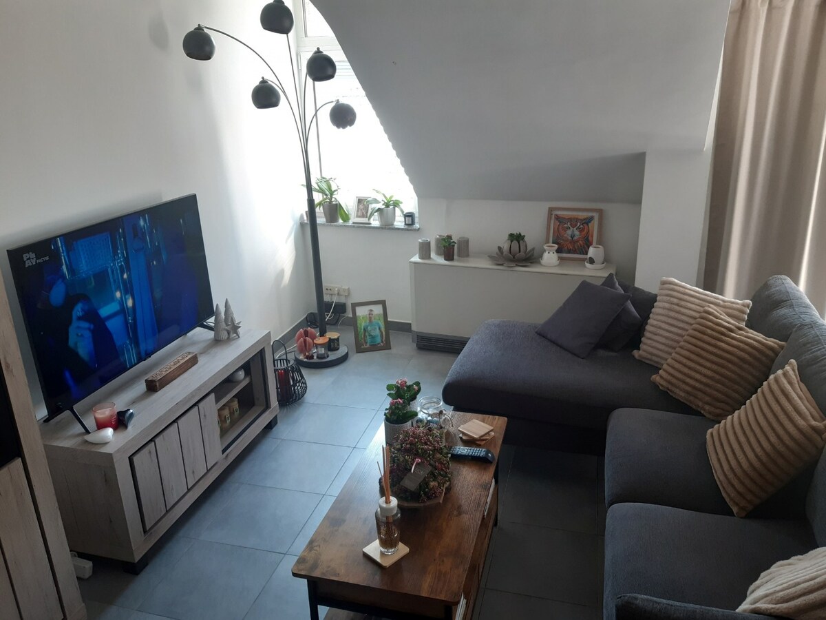 Ruim duplex 2 slpk-appartement in centrum Gavere. 