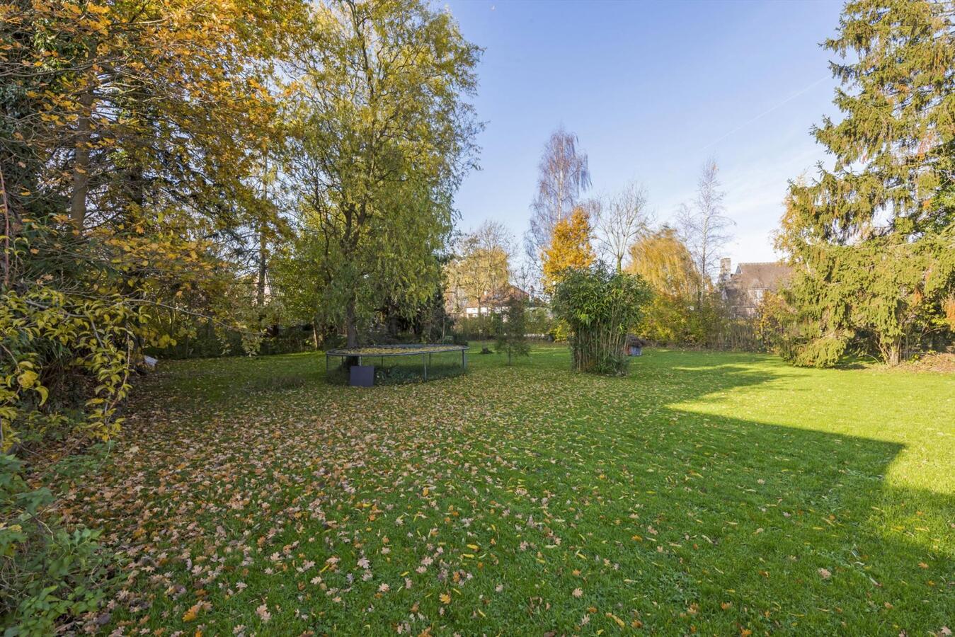 Unieke villa met ruime tuin op toplocatie te Drongen 