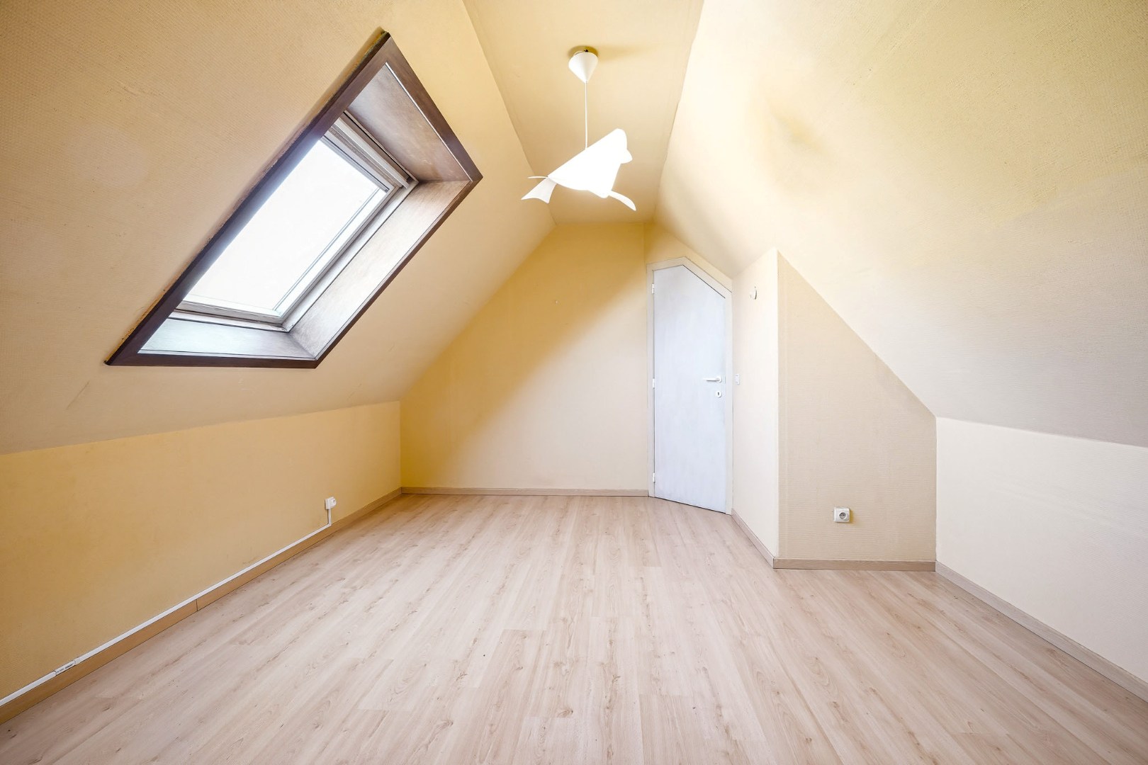 Ruime villa met 5 slaapkamers op 1082 m² te Oostduinkerke, gelegen vlakbij het natuurreservaat Hannecartbos. 
