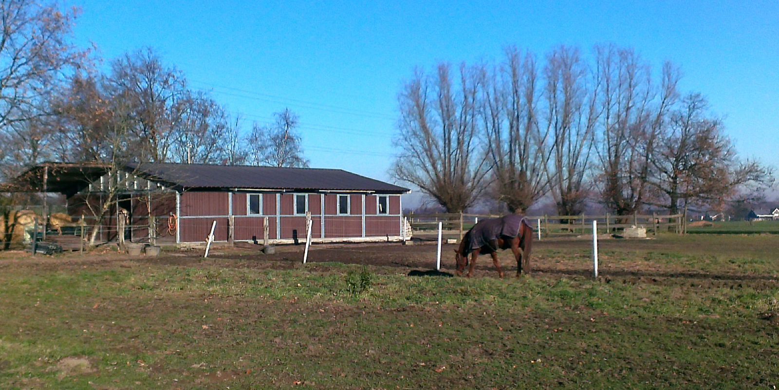 Verkocht weiland - Waarloos