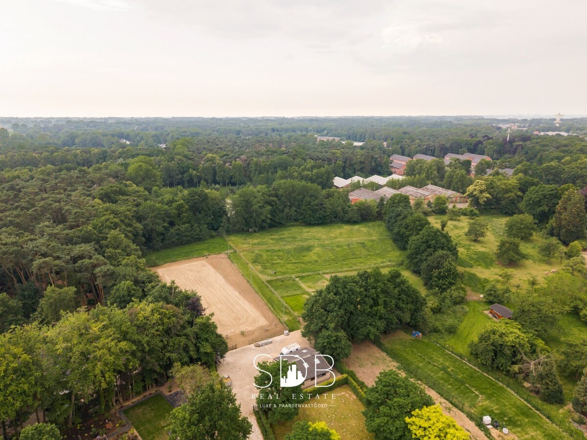 groene omgeving, waasland