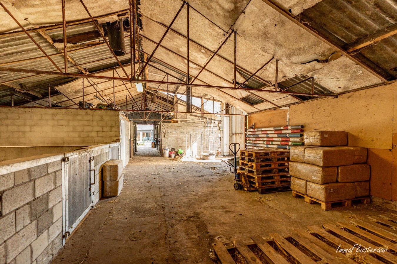 Gerenoveerde woning met praktijkruimte en paardenstal op 9.019 m2 te Balen 