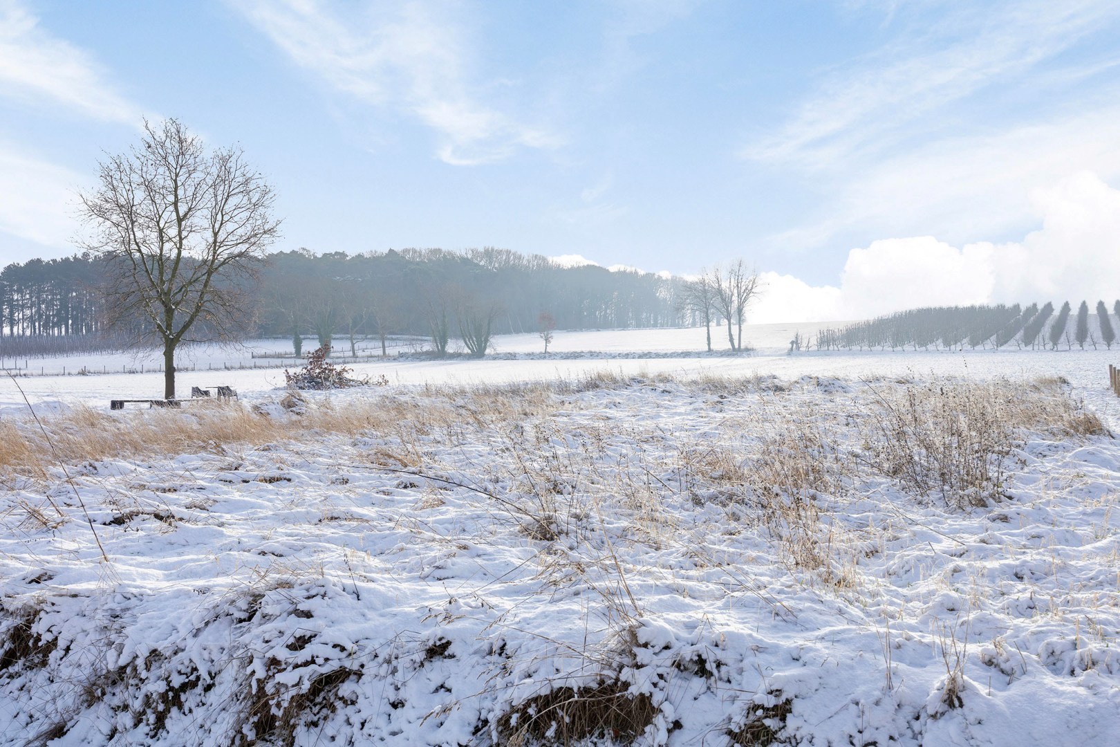 Fantastisch casco en winddichte nieuwbouwwoning met 3 slaapkamers, tuin en terras in Assent (Bekkevoort)! – bewoonbare opp. 177m² 