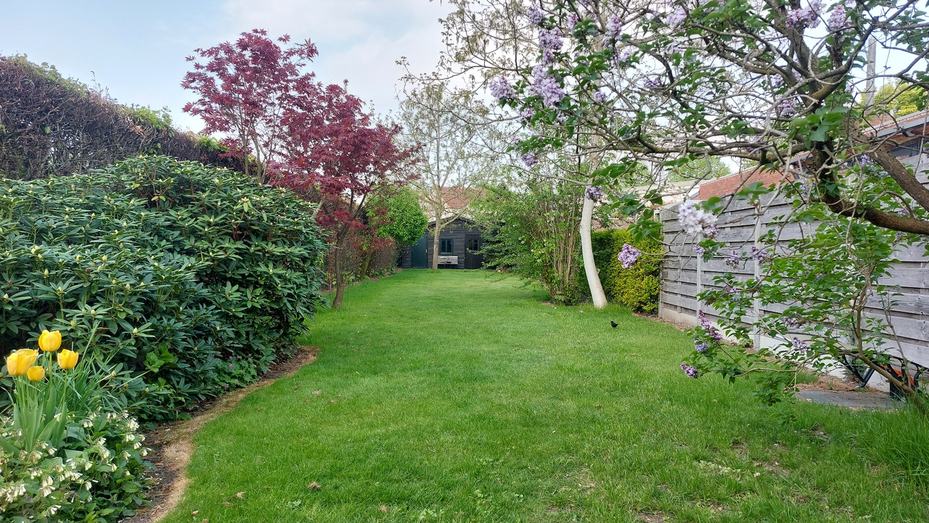 Eengezinswoning te koop in Weert