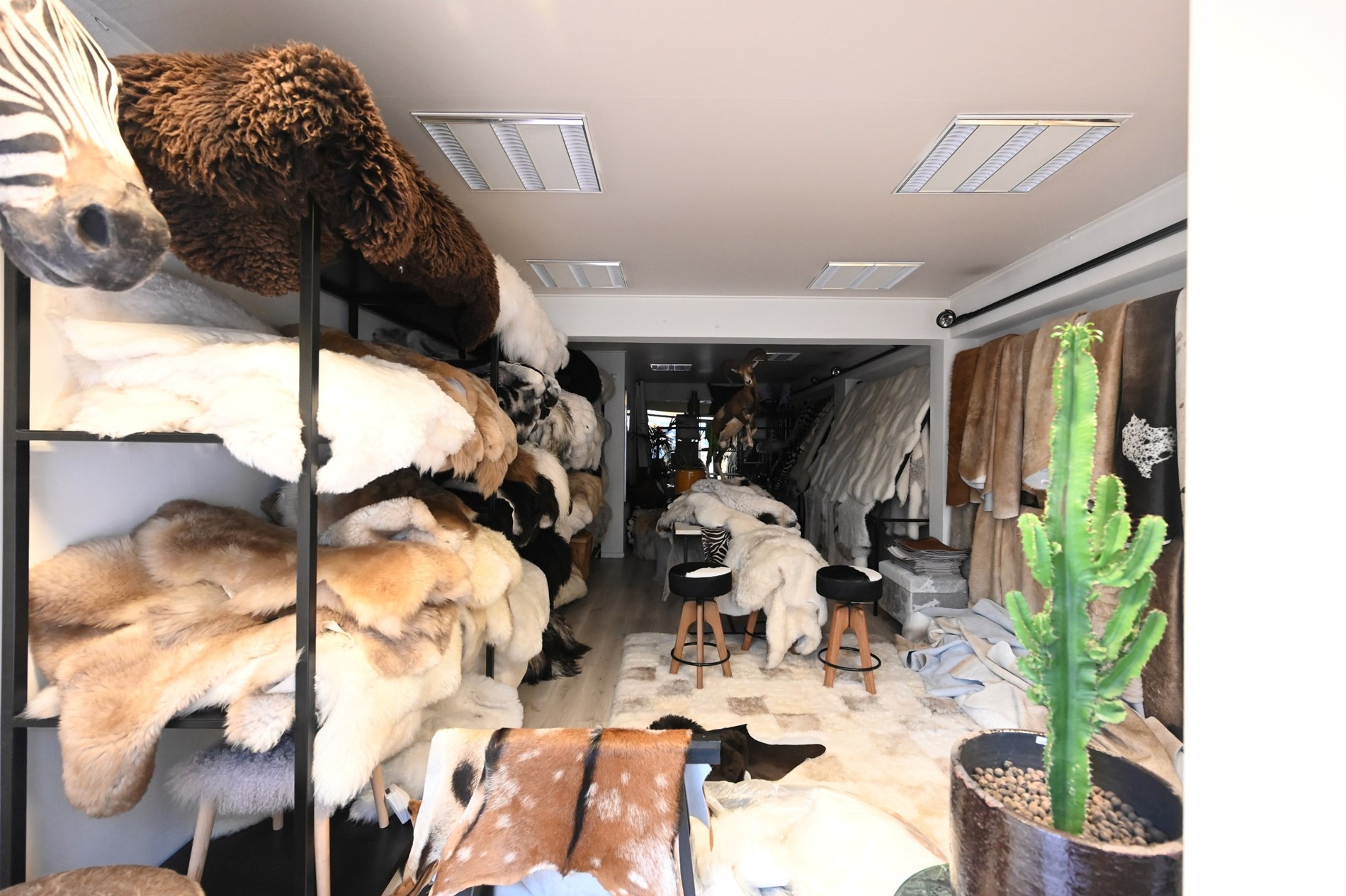 Bel immeuble commercial, situé du côté ensoleillé de l'avenue Dumortier, à proximité de l'avenue Lippens. 