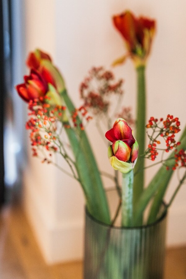 Luxueuze, energiezuinige woning 235 m² met 4 slaapkamers en 2 badkamers 