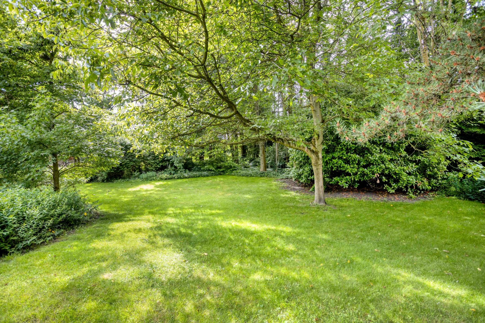 Achtertuin