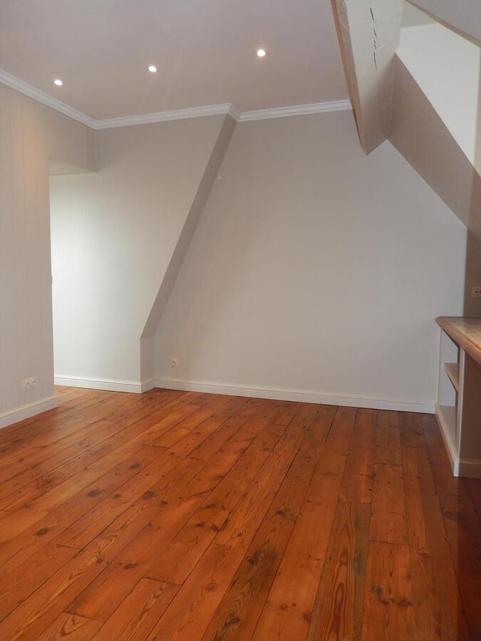 Instapklaar duplexappartement in het centrum van Brugge 