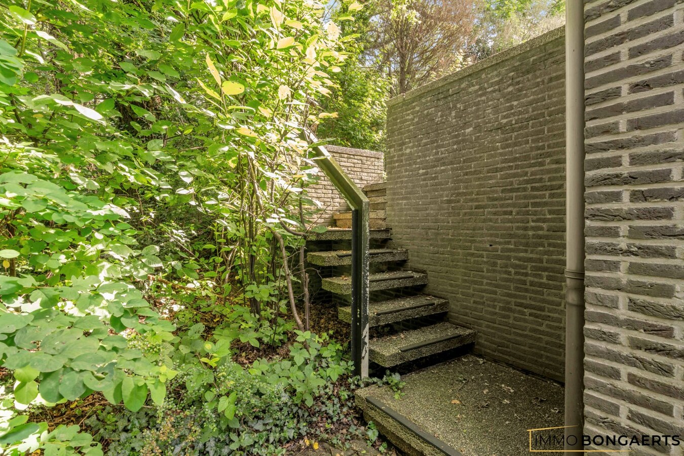 Ruime te renoveren woning op een mooi perceel. 