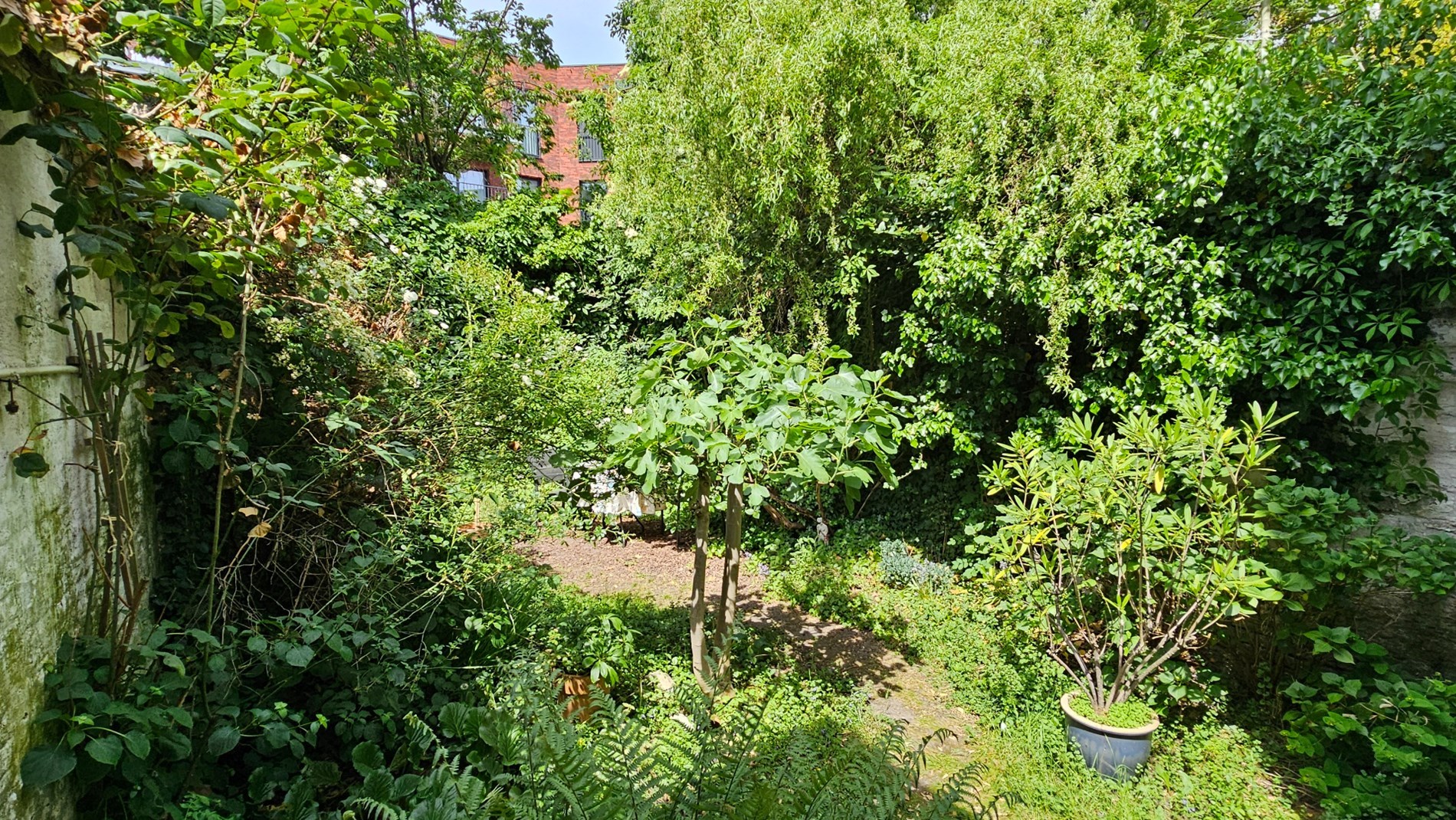 Ruime burgerwoning met stadstuin bestaande uit 2 wooneenheden nabij Gent Sint-Pieters 