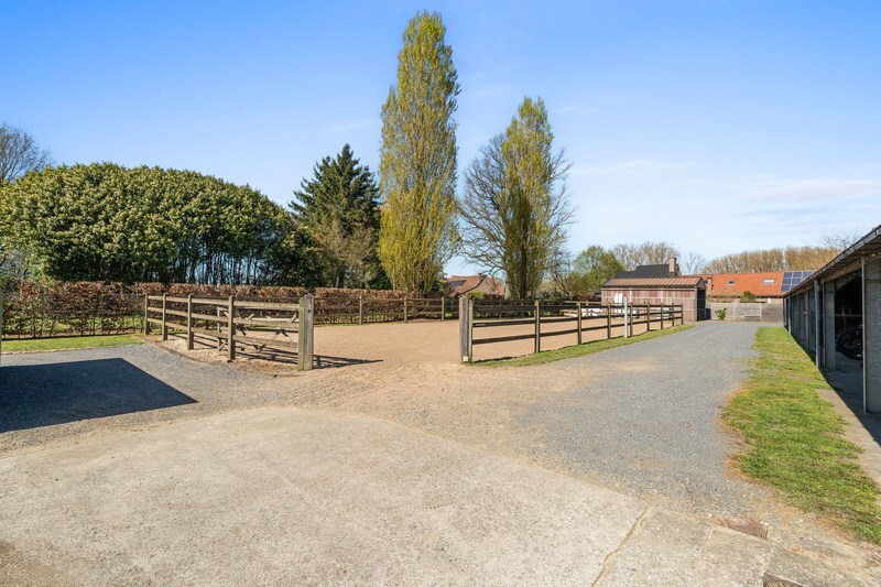 Moderne villa met hippisch complex op 15.856m² 