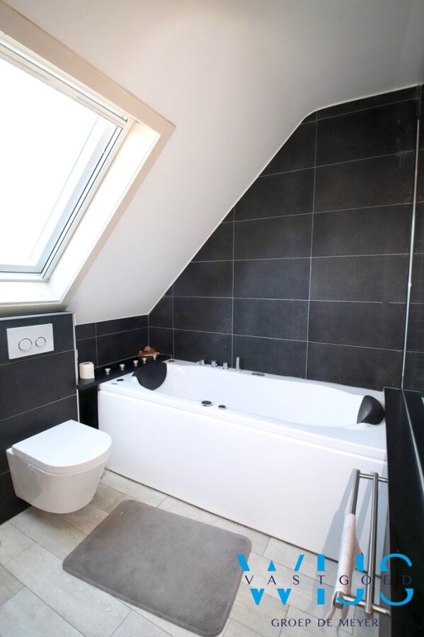 Zwemmen met zicht op de kerktoren van ERTVELDE ! 