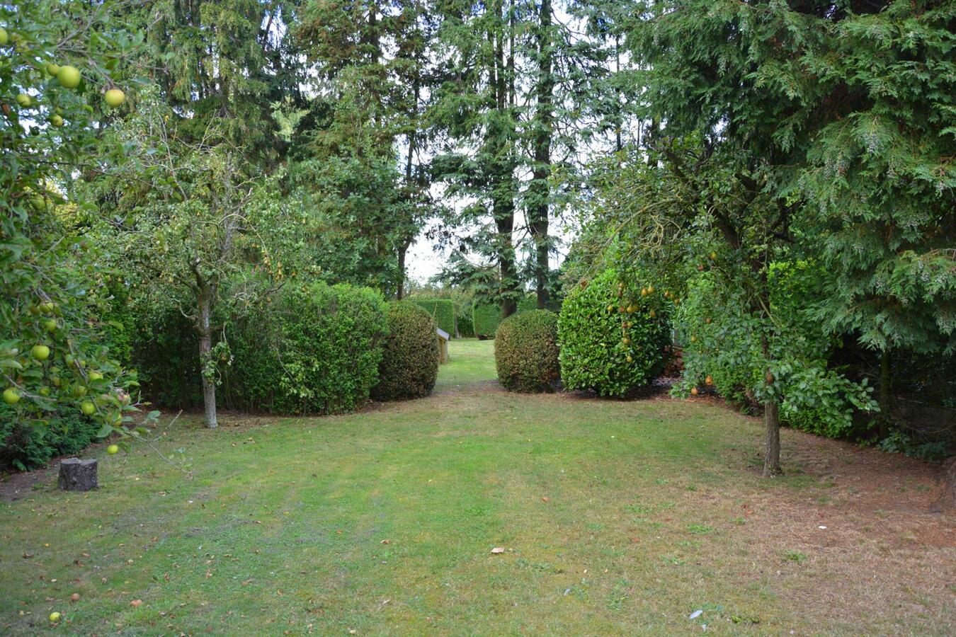 Rustig gelegen woning met prachtige tuin 