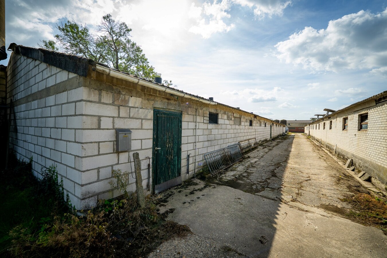 Hoeve met stalgebouwen op ca. 1ha te Bree 