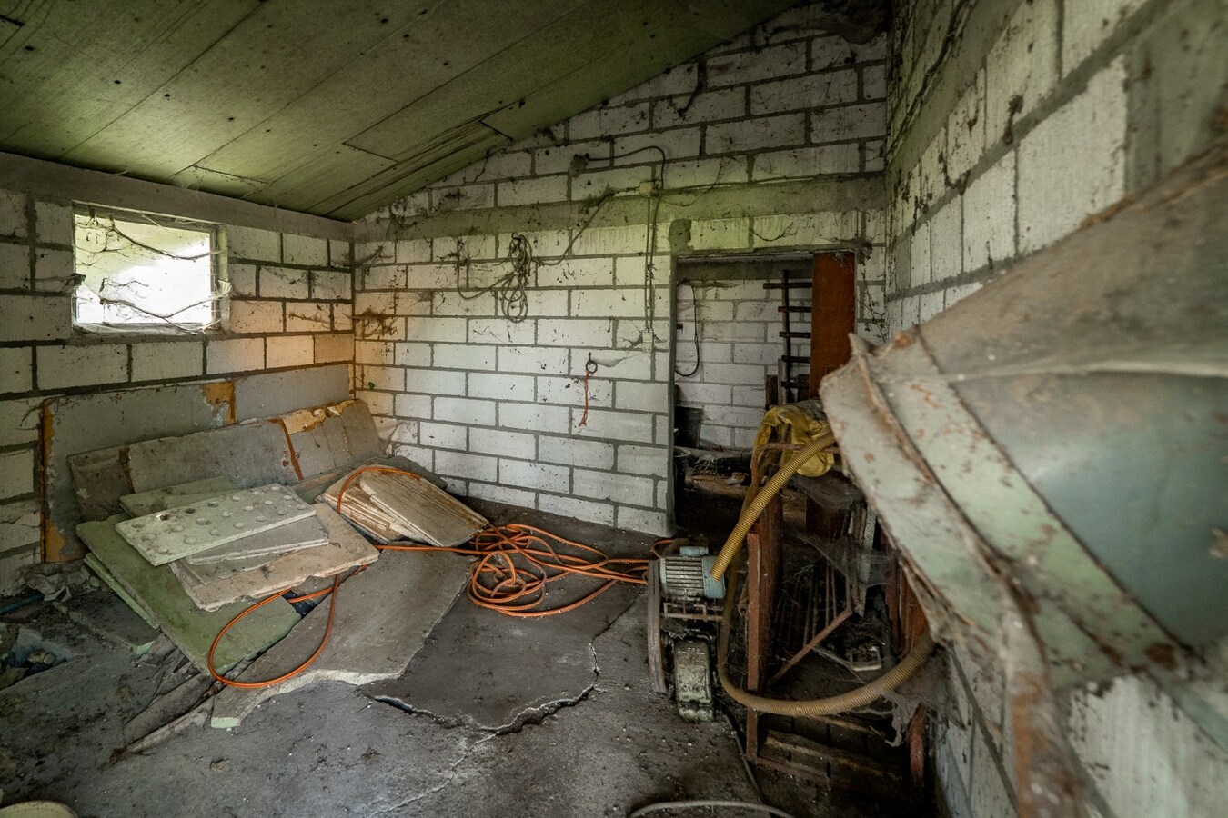 Hoeve met stalgebouwen op ca. 1ha te Bree 