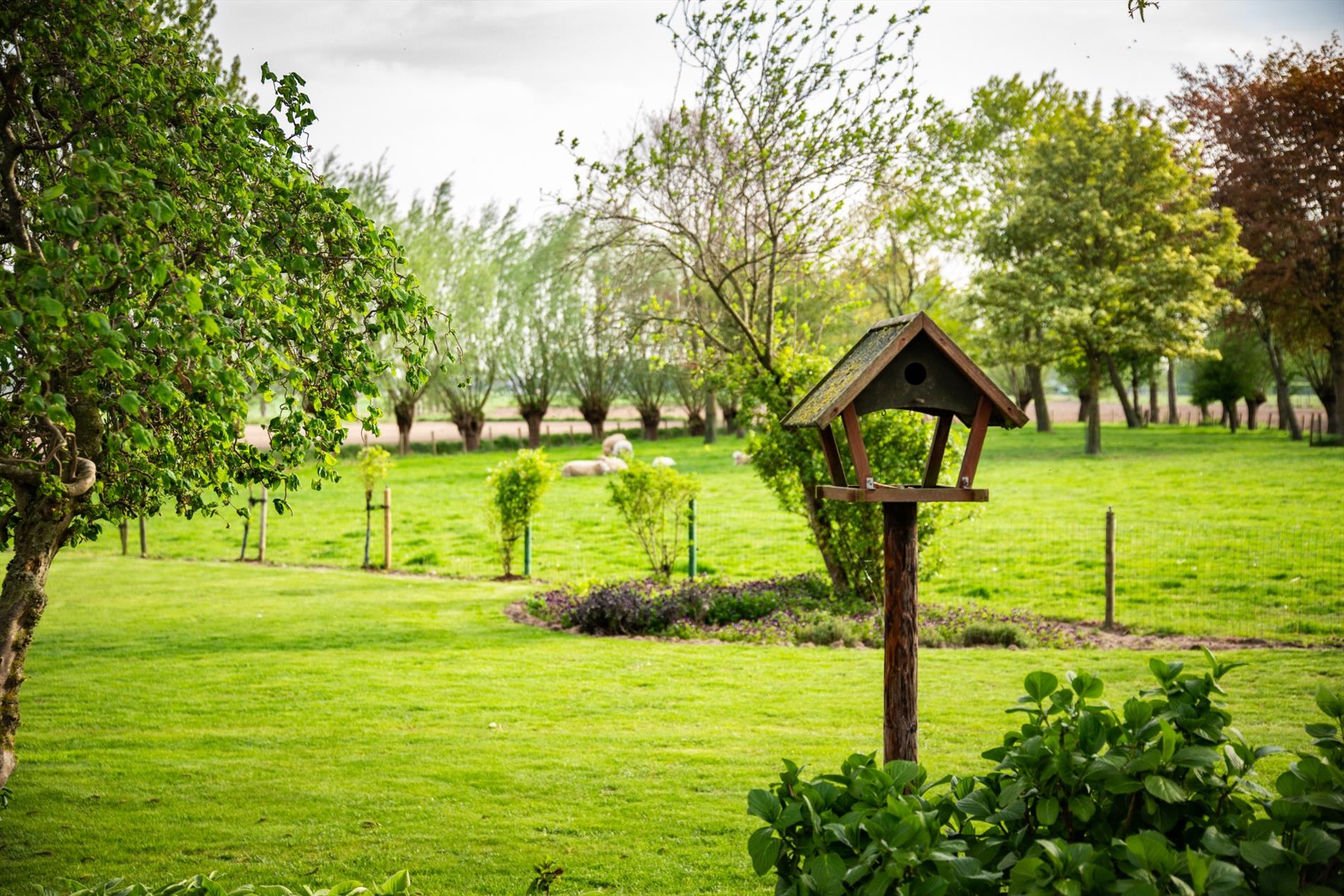 Uniek landhuis op 7.390m²  te Bassevelde 