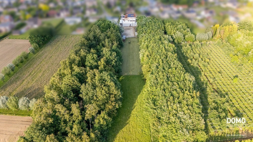 Ruime villa met paardenaccommodatie en wedstrijdstal gelegen te Herk-de-Stad - EPC-label: B - Bewoonbare vloeroppervlakte: 296m² 