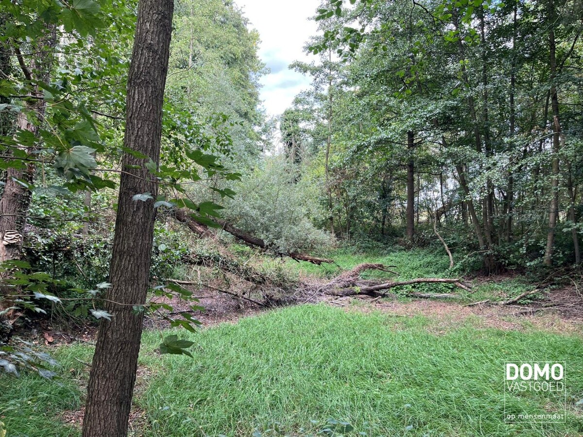 UNIEK DOMEIN MET OFF-GRID VAKANTIEWONING, SCHUUR EN 2 VIJVERS OP 1 HA 41 A 