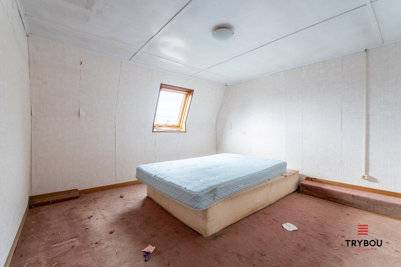 Ruime woning met winkelruimte, loods (optioneel) en garage 