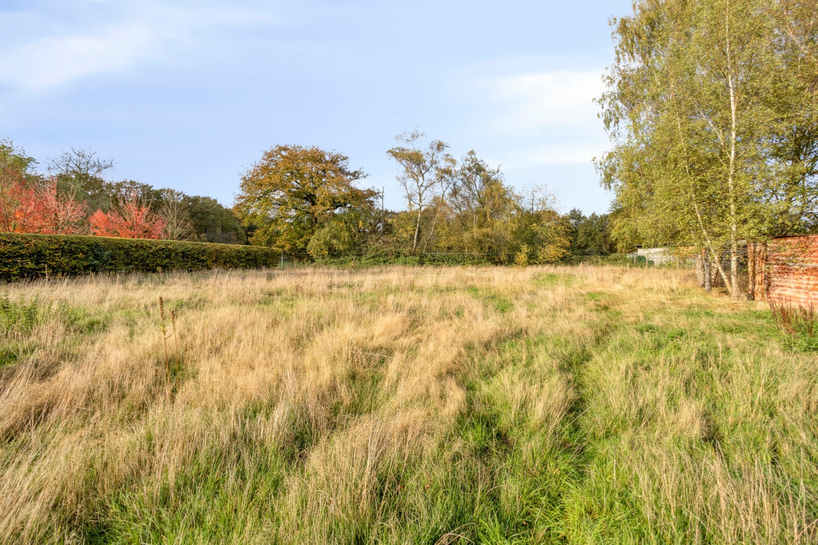 Te renoveren gezinswoning met 4 slpk. op een royaal perceel van 36a 75ca te Balen-Hulsen 