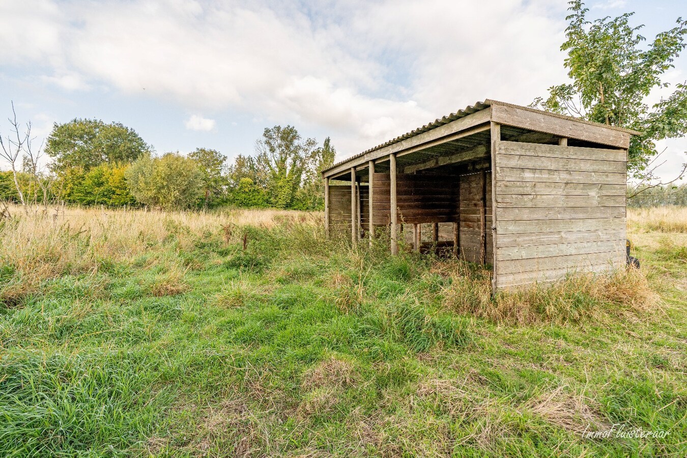 Charmante woning met stallen, buitenpiste en weide  op ca. 2 ha te OUDENBURG 
