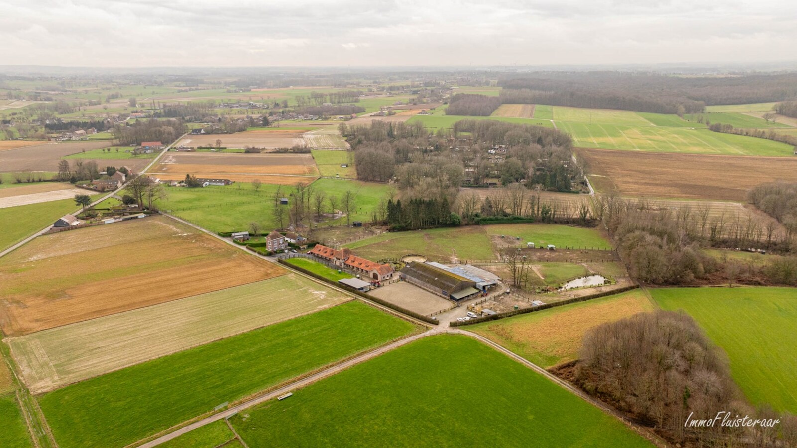 Magnifique complexe équestre avec maison d'entreprise, environ 33 écuries et une piste intérieure sur plus de 5,6 hectares à Bever (Brabant flamand). 