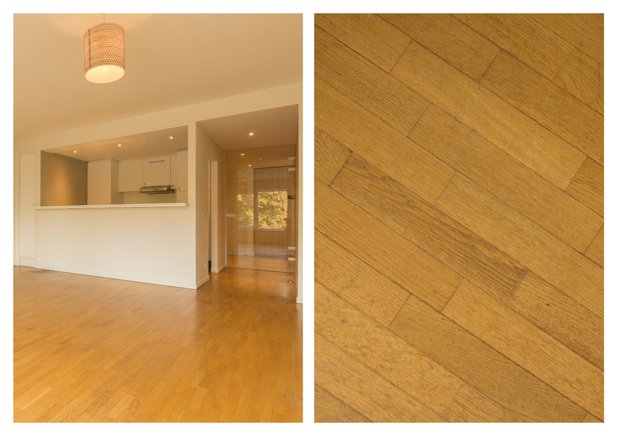 Lichtrijk appartement met zicht op het Zuidpark te Gent 