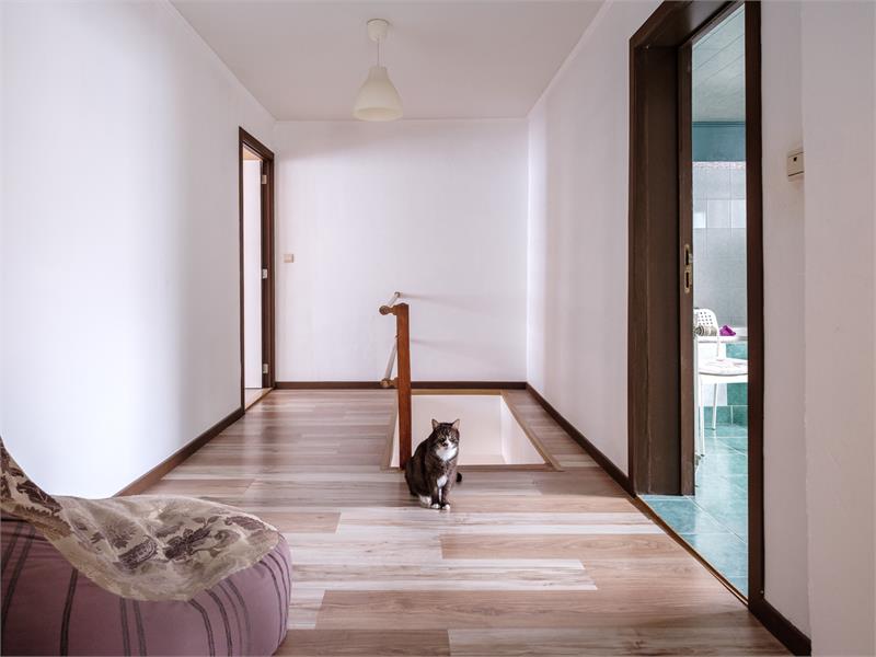 Ruim wonen in Ledeberg 