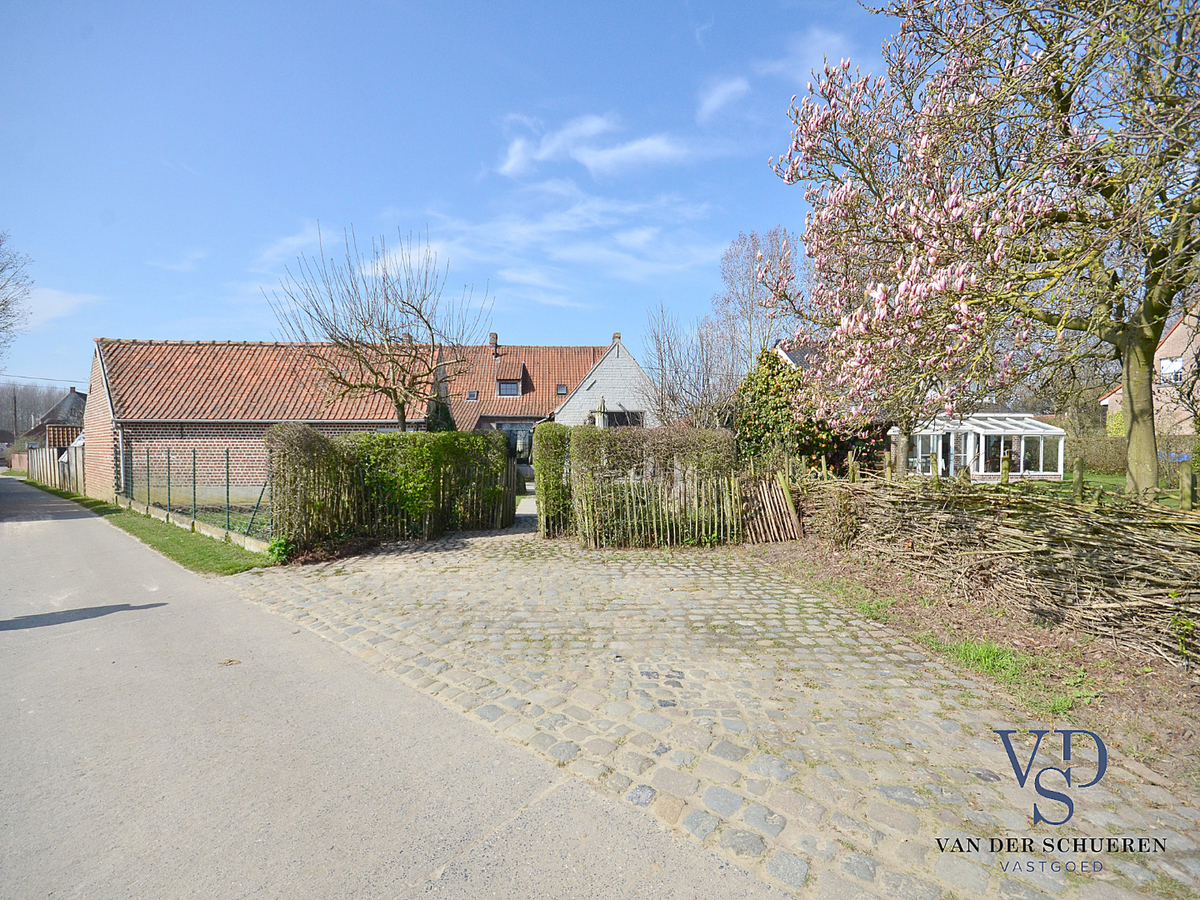 Parel nabij de Baaigemse Prinsenmolen. 