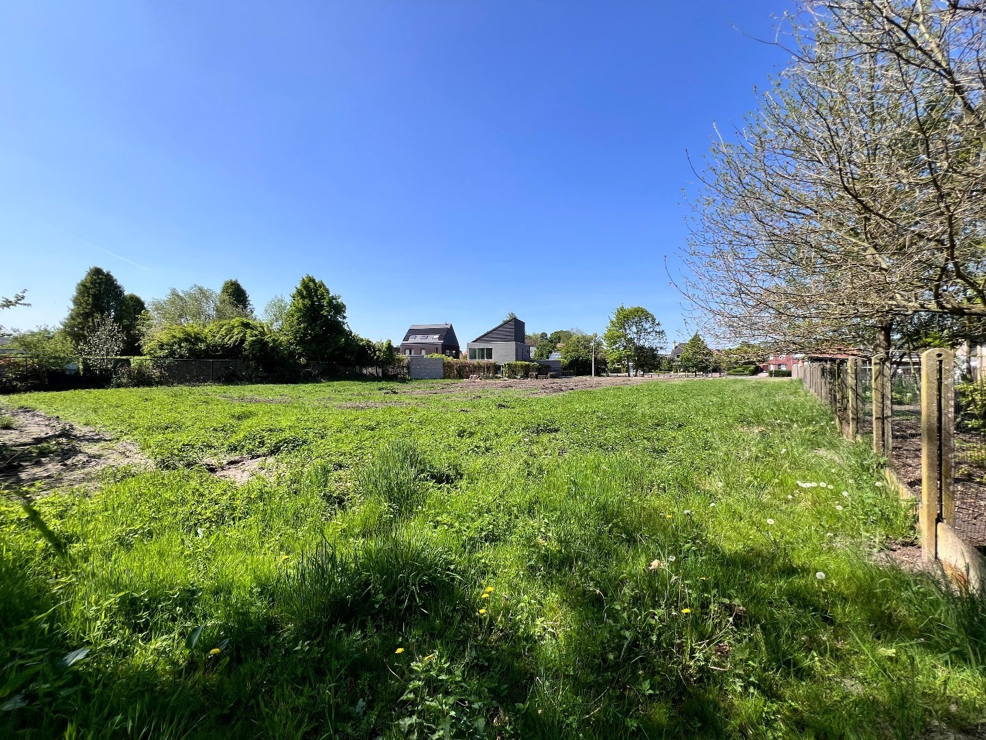 Zeer gunstig gelegen bouwgrond van 15a 75ca voor open bebouwing in Mol-Millegem 
