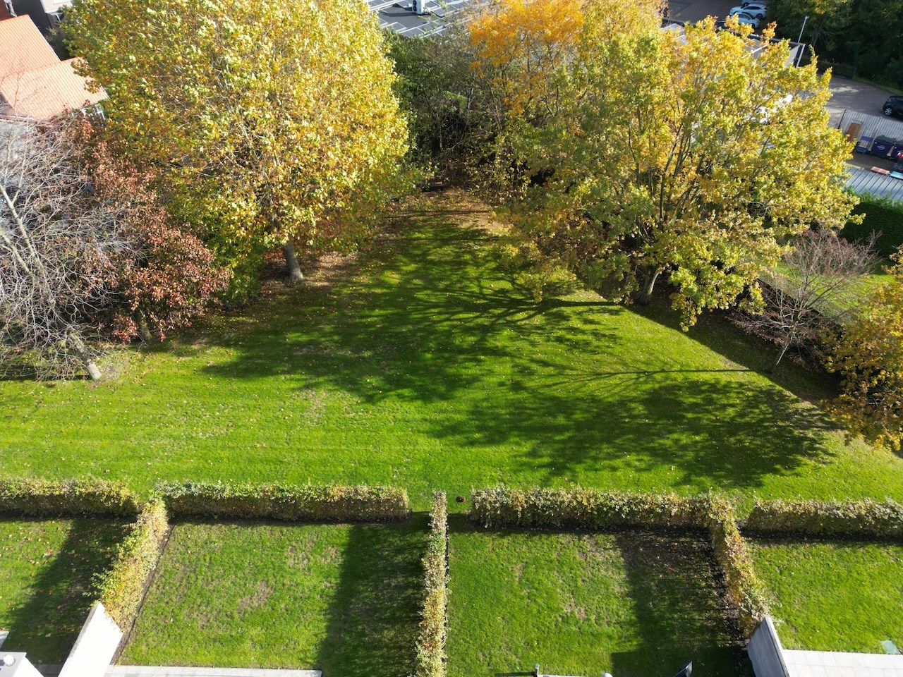 Gemmenschappelijke tuin