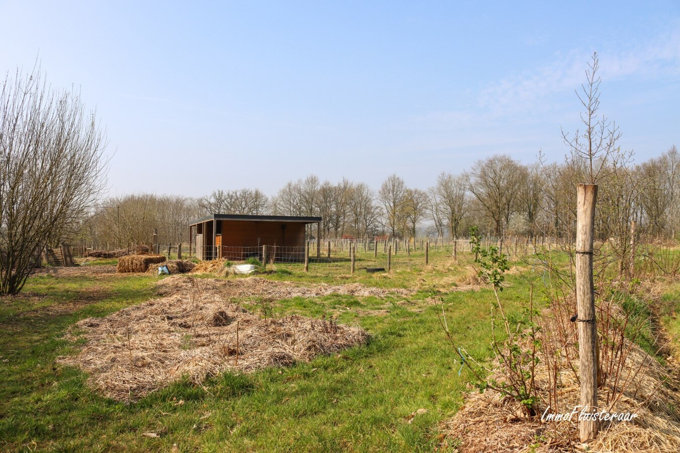 Verkocht weiland - Tielt-Winge